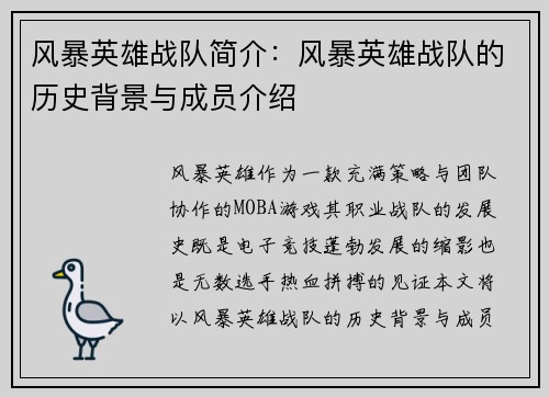 风暴英雄战队简介：风暴英雄战队的历史背景与成员介绍