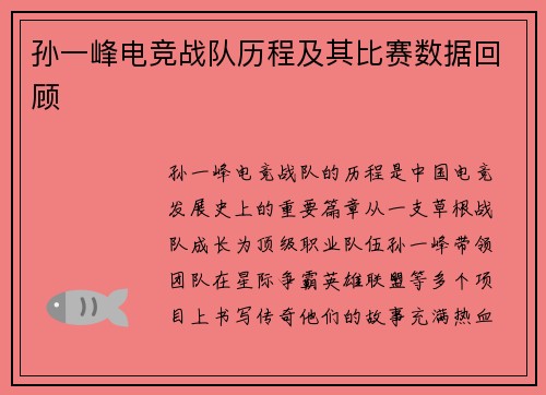 孙一峰电竞战队历程及其比赛数据回顾